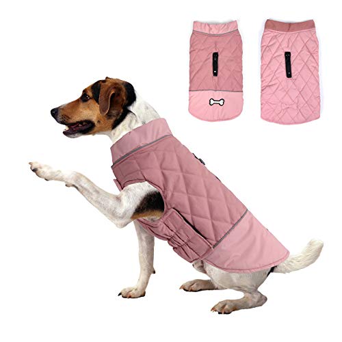 Winter-Hundemantel, wendbar, Knochen, wasserdicht, reflektierend, kaltes Wetter, für kleine, mittelgroße und große Hunde (Pink, XS) von Cdipesp