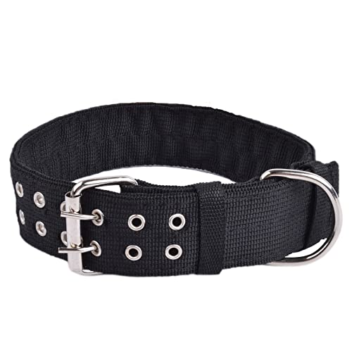 Cdycam Pet Dog Metallschnalle 2-reihig Armeegrün Nylon Stoff Gürtel Gurt Verstellbares Halsband L XL (Groß (1 Stück), Schwarz) von Cdycam