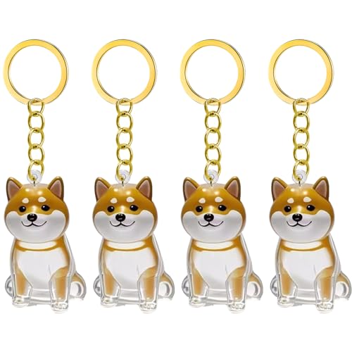 2/3/4/5/10pcs Pet Memorial Schlüsselbund Mit Klarem Pelzsammler Trauernde Katzen Hundebesitzer Kensionsketten Charm Pet Hair Collector Schlüsselbund 2/3/4/5/10pcs Pet Memorial Schlüsselbund Mit Klarem Pelzsammler Trauernde Katzen Hundebesitzer Kensionsketten Charm Pet Hair Collector Schlüsselbund von CeaBulo