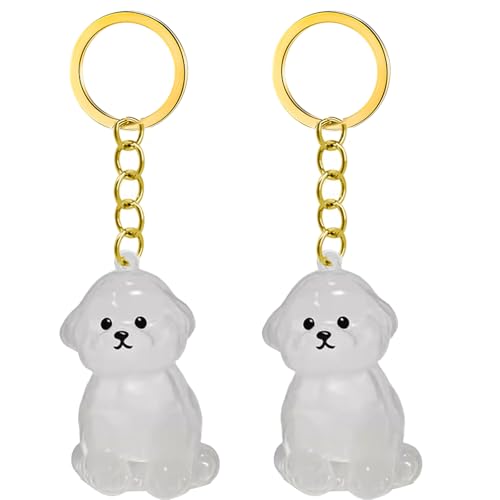 2/3/4/5/10pcs Pet Memorial Schlüsselbund Mit Klarem Pelzsammler Trauernde Katzen Hundebesitzer Kensionsketten Charm Pet Hair Collector Schlüsselbund 2/3/4/5/10pcs Pet Memorial Schlüsselbund Mit Klarem Pelzsammler Trauernde Katzen Hundebesitzer Kensionsketten Charm Pet Hair Collector Schlüsselbund von CeaBulo