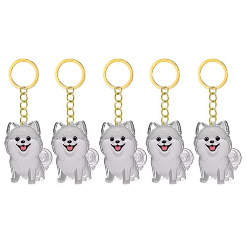 2/3/4/5/10pcs Pet Memorial Schlüsselbund Mit Klarem Pelzsammler Trauernde Katzen Hundebesitzer Kensionsketten Charm Pet Hair Collector Schlüsselbund 2/3/4/5/10pcs Pet Memorial Schlüsselbund Mit Klarem Pelzsammler Trauernde Katzen Hundebesitzer Kensionsketten Charm Pet Hair Collector Schlüsselbund von CeaBulo