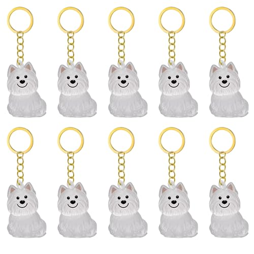 2/3/4/5/10pcs Pet Memorial Schlüsselbund Mit Klarem Pelzsammler Trauernde Katzen Hundebesitzer Kensionsketten Charm Pet Hair Collector Schlüsselbund 2/3/4/5/10pcs Pet Memorial Schlüsselbund Mit Klarem Pelzsammler Trauernde Katzen Hundebesitzer Kensionsketten Charm Pet Hair Collector Schlüsselbund von CeaBulo