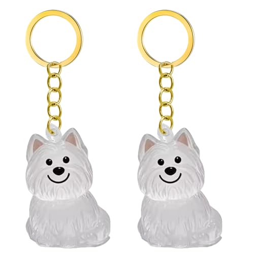2/3/4/5/10pcs Pet Memorial Schlüsselbund Mit Klarem Pelzsammler Trauernde Katzen Hundebesitzer Kensionsketten Charm Pet Hair Collector Schlüsselbund 2/3/4/5/10pcs Pet Memorial Schlüsselbund Mit Klarem Pelzsammler Trauernde Katzen Hundebesitzer Kensionsketten Charm Pet Hair Collector Schlüsselbund von CeaBulo
