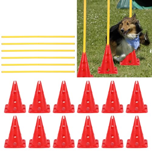 Cecaylie Agility Set Hunde, hundetraining zubehör Satz, hütchen Fussball - pylonen Kinder mit 12*pylonen + 6*Stangen+ Aufbewahrungstasche, hürden Set für Hunde, Kinder, Pferde von Cecaylie