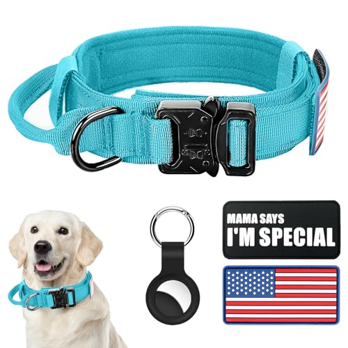 Taktisches Hundehalsband, Militär-Hundehalsband, verstellbar, Nylon, robuste Metallschnalle mit Griff, für Hundetraining, mit Flicken (Hellblau 1, M) von Celifelight