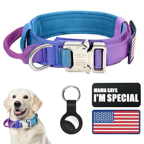 Taktisches Hundehalsband, Militär-Hundehalsband, verstellbar, Nylon, robuste Metallschnalle mit Griff, für Hundetraining, mit Patches (Farbverlauf 1, L) von Celifelight