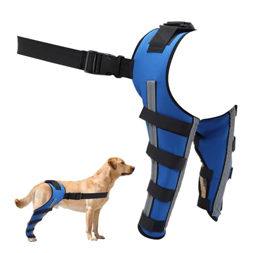 Celuicion Hunde Hinterbeinpraces, Hunde -Rücken -Klammer | PET orthopädische Hüfte Hock Support Brace,Tragbarer Tierkniewundschutz für kleine Tiere Genesung von Celuicion