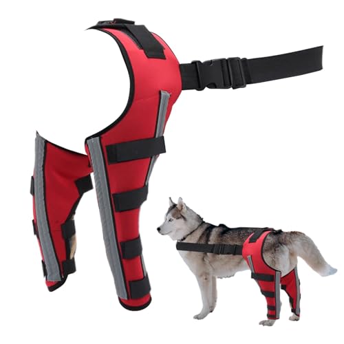 Celuicion Hundekniegelaste, Hunde Hüftklammer | Pet Joint Hip Support Brace,Tragbarer Tierkniewundschutz für kleine Tiere Genesung von Celuicion