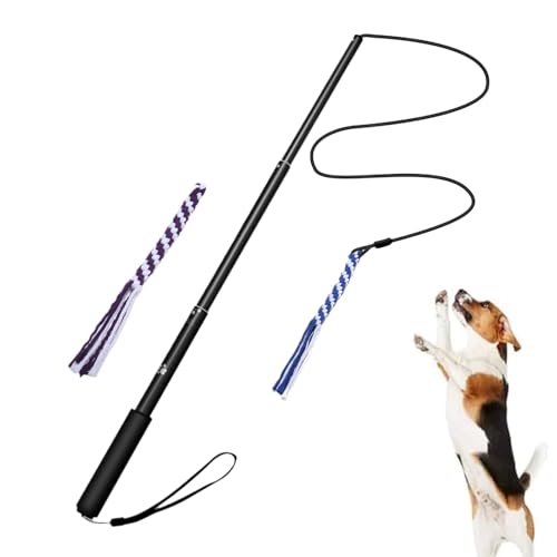 Hund ausziehbarer Teaser -Zauberstab, interaktiver Flirt -Pole -Spielzeug für Hunde - Erweiterbarer Welpejagd Stab,Pet Flirt Stick Pole Welpe jagt Schwanz für Hunde, die Jagd und Krieger ziehen von Celuicion