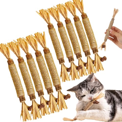 Nylatails Silvervine Dental Stick, Nyla Tails Cat Chew Stick, Nylatails Natural Silvervine Dental Grass Sticks Cat Toys, Interactive Kitten Teething Toys (10pcs) von Cemssitu