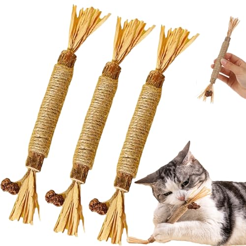 Nylatails Silvervine Dental Stick, Nyla Tails Cat Chew Stick, Nylatails Natural Silvervine Dental Grass Sticks Cat Toys, Interactive Kitten Teething Toys (3pcs) von Cemssitu