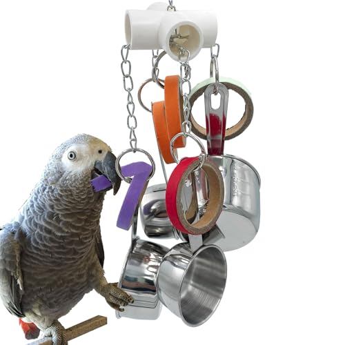 GILYGI Durable Bird Parrots Pots and Bagel Toys, Pullable Stainless Steel Cup and Cardboard Ring Toys for Amazons Mini Macaws African Greys Cockatoos Eclectus von GILYGI