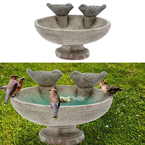 Vogeltränke mit Zwei Vögeln | Zement 25cm | Vogeltränke Wasserbecken Vogelbad Vogelbecken Gartendekoration (1 x Vogeltränke 25cm) von Cepewa