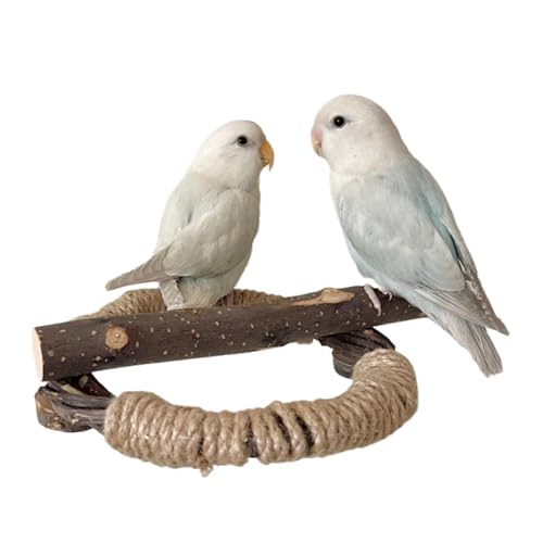 Bird Cage Perches, Wooden Perch, Pet Bird Climbing Branch with Rope, Natural Wood Material, Perfect for Climbing & Standing Training, Small & Large Sizes von Ceprznvey