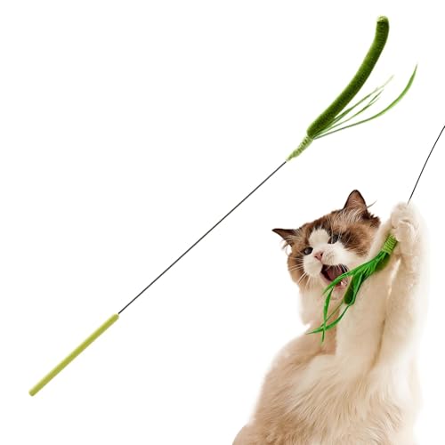 Cat Wand Toy, Realistic Setaria Cat Teaser, Feather Stick with Faux Grass Plush, Physical Training Toy, Engaging for Cats, 19.69 Inches, Green/Yellow, 1 Piece von Ceprznvey