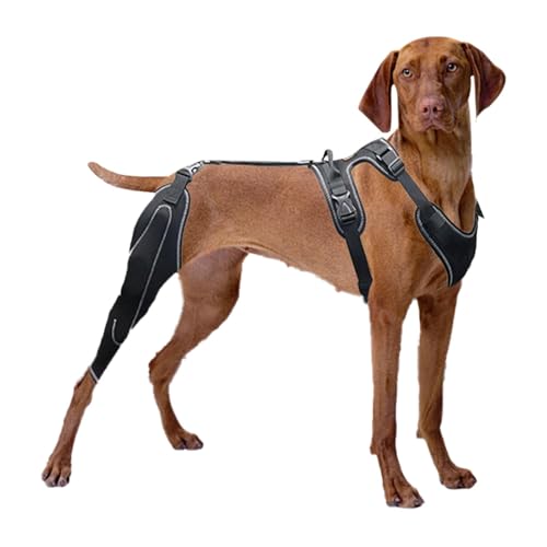 Ceprznvey Dog Knee Brace, Dog Back Leg Wrap, Dog Knee Wrap, Pet Legs Support Brace, Adjustable Rear Leg Wrap for Medium And Large Dogs, Canine CCL Support Brace for Rear Leg Care, Polyester Material von Ceprznvey