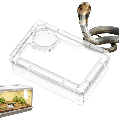 Ceprznvey Wasserschale für Reptilien – Futterschale für Barbudrachen – Terrarium-Zubehör für Futter Gecko Spinne Ceprznvey Wasserschale für Reptilien – Futterschale für Barbudrachen – Terrarium-Zubehör für Futter Gecko Spinne von Ceprznvey