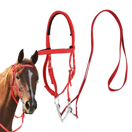 Horse Bridle, Adjustable Snaffle Noseband, Nylon Equine Bridle, Efficient Soft Lined for Comfort, Compact Trail Riding & Equestrian Gear, Unisex for Men & Women von Ceprznvey