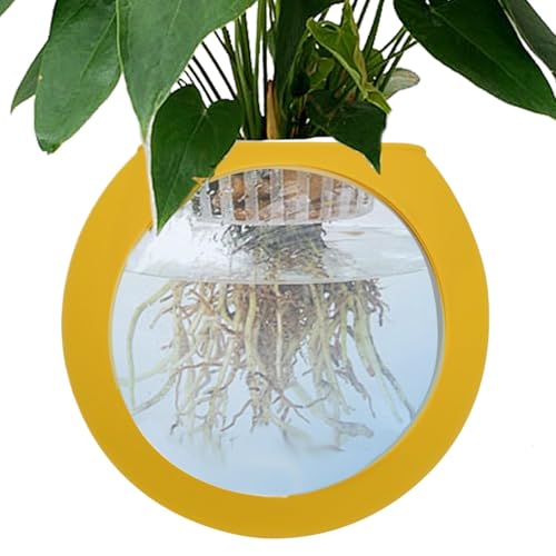 Wall Mounted Silicone Vase, Clear Bowl Holder, Modern Flower Vase, Space-Saving Plant Vase Bowl, Globe Air Plant Holder, Terrarium Plant Holder for Bathroom Home Living Room von Ceprznvey