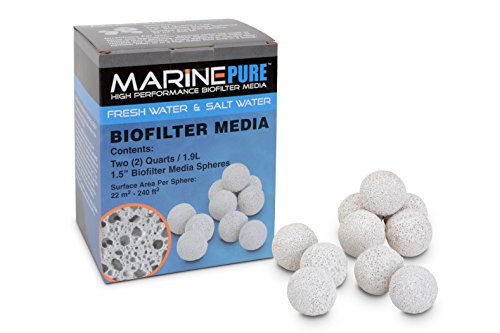 CerMedia MarinePure Bio-Filtermedien für Salz- und Süßwasseraquarien, 3,8 cm, 2 Quart von MarinePure