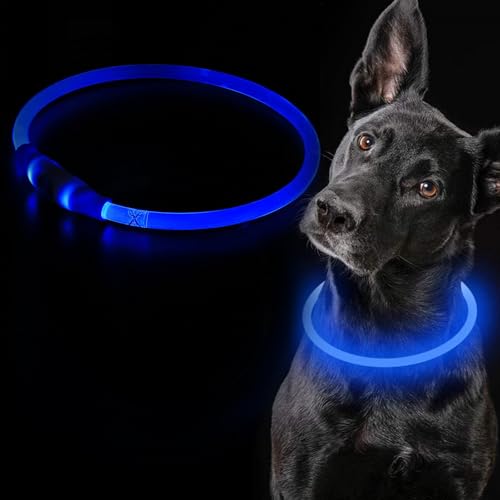 Leuchthalsband Hund, LED Leuchthalsband, LED Halsband für Hunde, LED Hundehalsband, Hundehalsband Aufladbar, Wasserdicht Halsband Hund, Halsband Hund mit Einstellbarer Länge mit 3 Leuchtmodi (Blau) von Cerioll