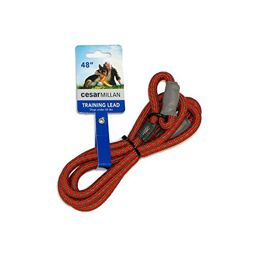 Cesar Millan Leine - Trainingsleine für Hunde - 2in1 Halsband Hund und Leine - Slip Lead - Retrieverleine mit integrierter Halsung (Small/Medium - Farbe: Rot/Olive) - Länge 120 cm, Durchmesser 1 cm von Cesar Millan