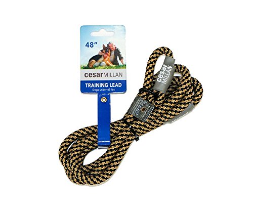 Cesar Millan Leine - Trainingsleine für Hunde - 2in1 Halsband Hund und Leine - Slip Lead - Retrieverleine mit integrierter Halsung (Small/Medium - Farbe: Schwarz/Gelb) - Länge 120 cm, Durchmesser 1 cm von Cesar Millan