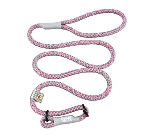 Cesar Millan Slip Lead Leash™ – Trainingsleine mit Schlupfkragen gibt Ihnen mehr Kontrolle und die Fähigkeit, schnelle und sanfte Korrekturen vorzunehmen (regulär, Rosa/Grau) von Cesar Millan