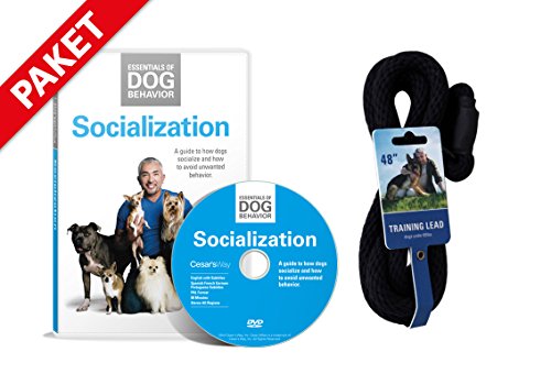 Hundeflüsterer Cesar Millan Leine Hundehalsband Illusion Collar Schwarz gewebte weiche Baumwolle inkl. Socialization DVD Hunde Sozialisierung Grundlagen der Hundeerziehung Essentials of Dog Behavior Hundeflüsterer von Cesar Millan