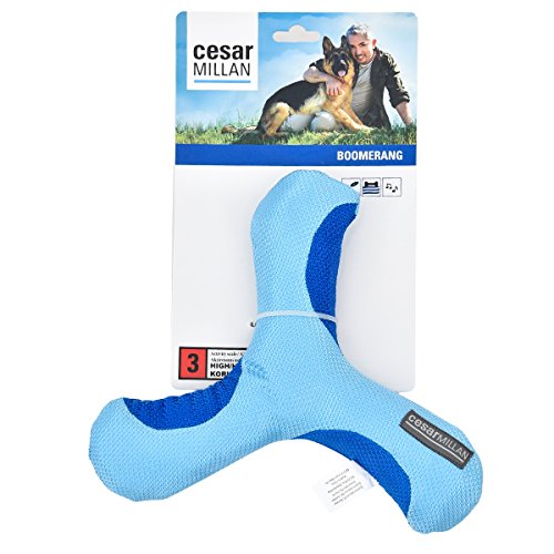 Offizielles Cesar Millan Medium Activity Level Hundespielzeug Pets Zahnungshilfe Kauen Boomerang von Cesar Millan