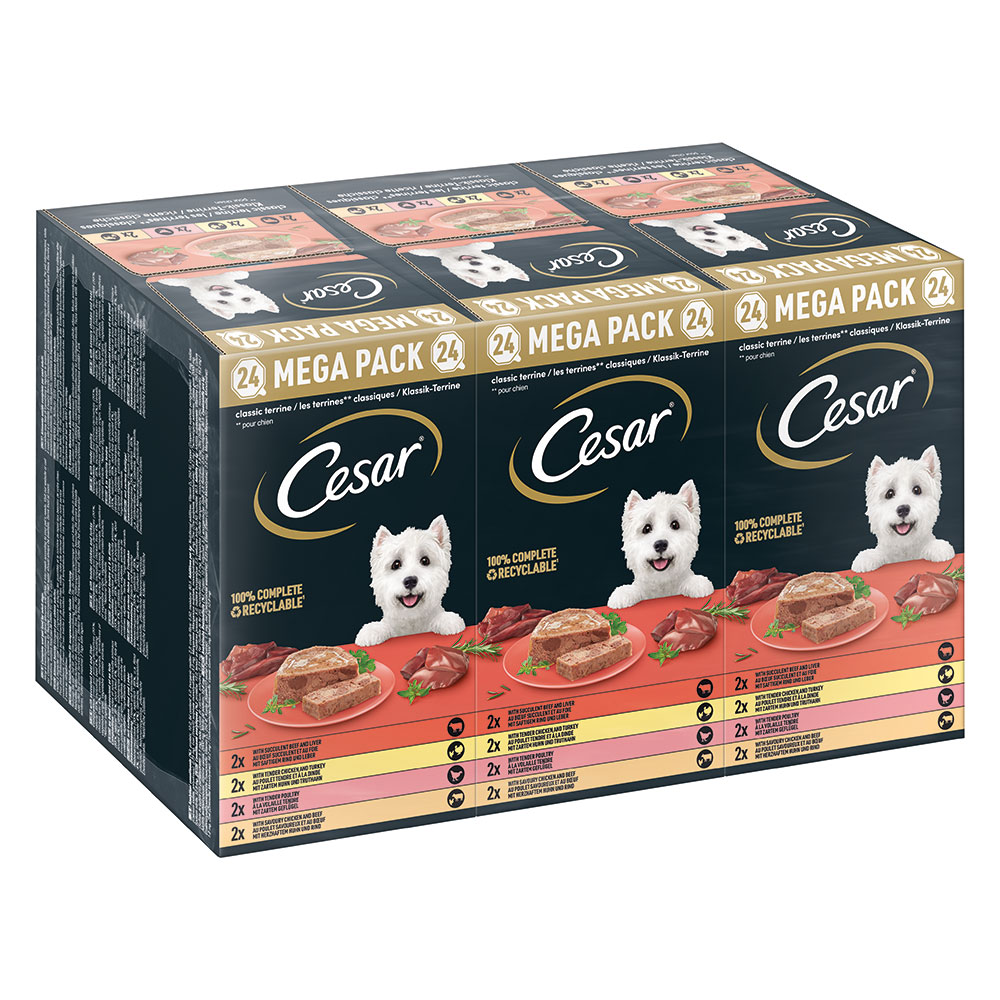 42 + 6 gratis! 48 x 150 g Megapack Cesar Schale - Classic Terrine von Cesar