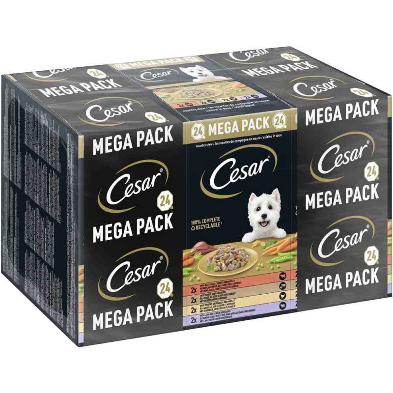 42 + 6 gratis! 48 x 150 g Megapack Cesar Schale - Landragout von Cesar