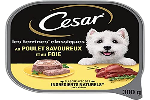 CESAR Hundefutter – 20 Schalen à 300 g – Nassfutter für Hunde, Klassische Terrine mit schmackhaftem Huhn und Leber – Nassfutter für Hunde von Cesar