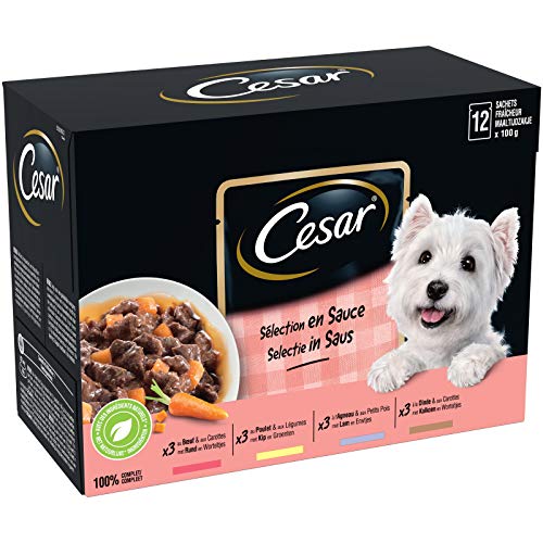 CESAR Mahlzeit für Hunde – 48 Frischebeutel (4 Packungen mit 12 x 100 g) – Nassfutter für Hunde in Sauce – Rindfleisch/Huhn/Lamm/Truthahn – Vollnahrung & ausgewogene Ernährung mit natürlichen von Cesar