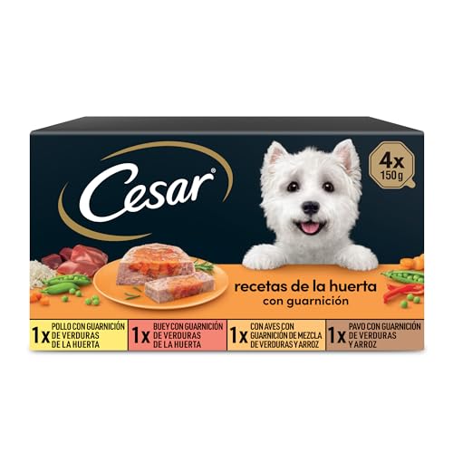 CESAR Multipack Terrine du Jardin Pour Chien - 4 x 150 g von Cesar