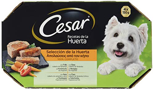 CESAR Multipack Terrine du Jardin Pour Chien - 4 x 150 g von César