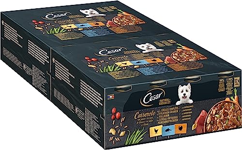 CESAR NATURAL GOODNESS Hundenassfutter in der Dose Casserole in Sauce mit Huhn, mit Fisch, mit Truthahn und mit Vollkorn und Superfoods, 2 x 12 x 400g von Cesar