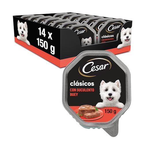 Caesar Tarrina für Klassische Ochsenhunde von 150g [Packung von 14] von Cesar