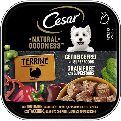 Cesar® Natural Goodness™ Schale Terrine Getreidefrei mit Superfoods mit Truthahn 1 x 100g von Cesar