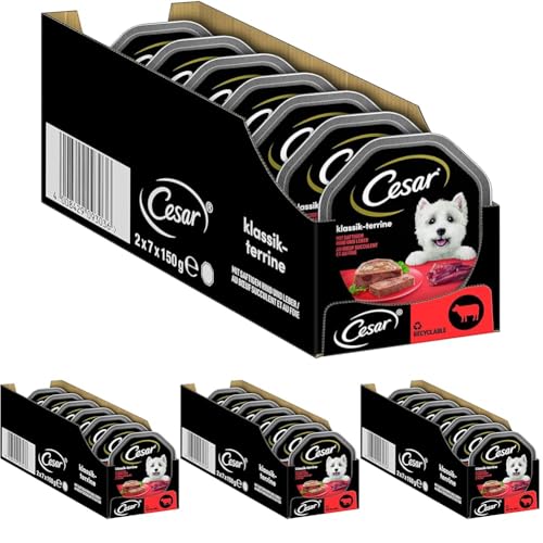 Cesar Adult Hundenassfutter Klassik-Terrine mit saftigem Rind und Leber, 14 Schalen, 14x150g – Premium Hundefutter nass, ohne Zuckerzusatz, künstliche Aroma– oder Farbstoffe (Packung mit 4) von Cesar