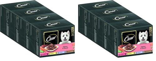 Cesar Adult Hundenassfutter Selektion in Sauce, 48 Portionsbeutel, 12x100g (8er Pack) – Ausgewogenes Premium Hundefutter nass, Auswahl mit Rind, Huhn, Lamm und Truthahn von Cesar