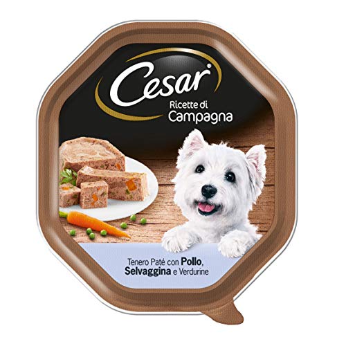 Cesar Auswahl des Gemüsegartens Hundefutter mit Wild, Huhn und Gemüse 150 g, 14 Schalen von Cesar