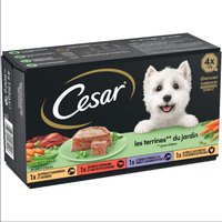 Cesar Classic Selection - Garten-Terrine 48 x 150 g von Cesar