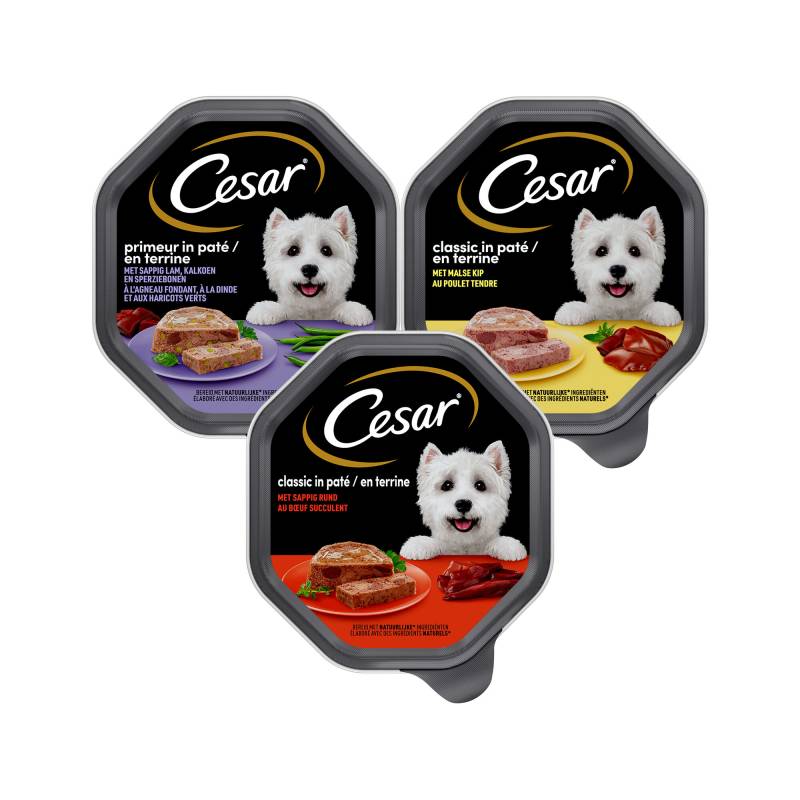 Cesar Classic in Pastete - Lamm und Pute - 14 x 150 g von Cesar