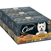 Cesar Country Kitchen Favourites - 8 x 150 g von Cesar