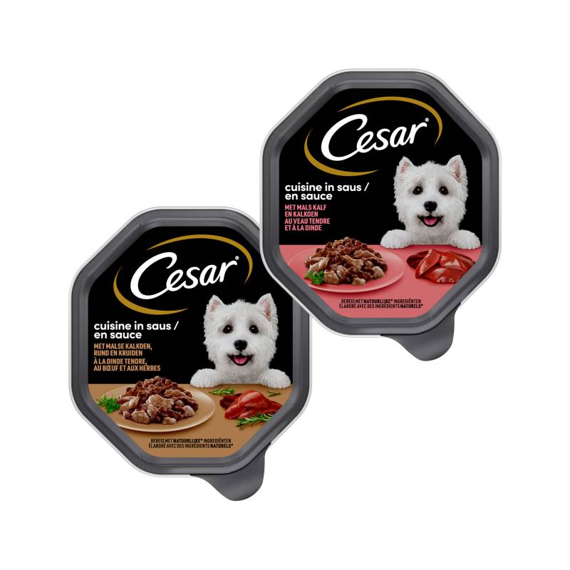 Cesar Cuisine in Sauce - Kalbfleisch und Pute - 14 x 150 g von Cesar