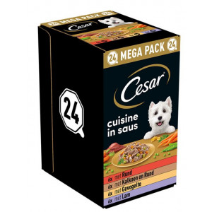 Cesar Cuisine in Sauce Multipack Nassfutter Hund Schale (150 g) 2 Packungen (48 x 150 g) von Cesar