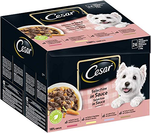 Cesar Favoriten in Sauce Huhn und Gemüse Ragout, 24 Beutel, 2400 g von Cesar