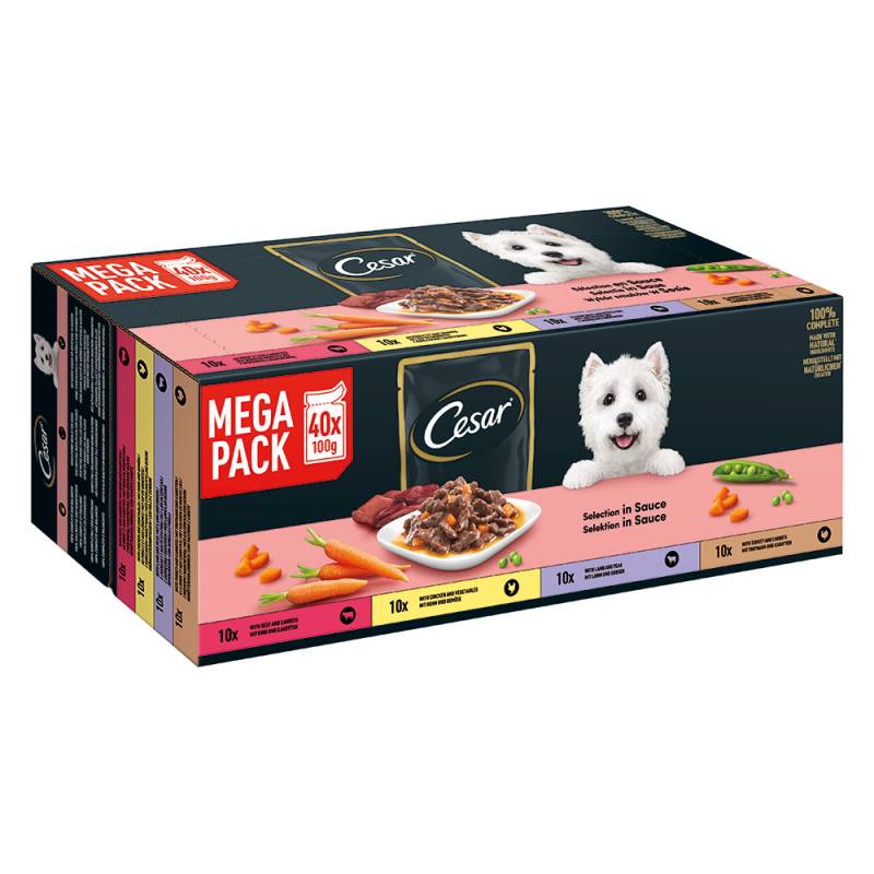 Cesar Feines im Frischebeutel Favoriten in Sauce - 40 x 100 g von Cesar