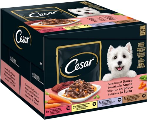 Cesar Feines im Frischebeutel Favoriten in Sauce Hunde-/Nassfutter, 24 Portionsbeutel (24 x 100g) von Cesar